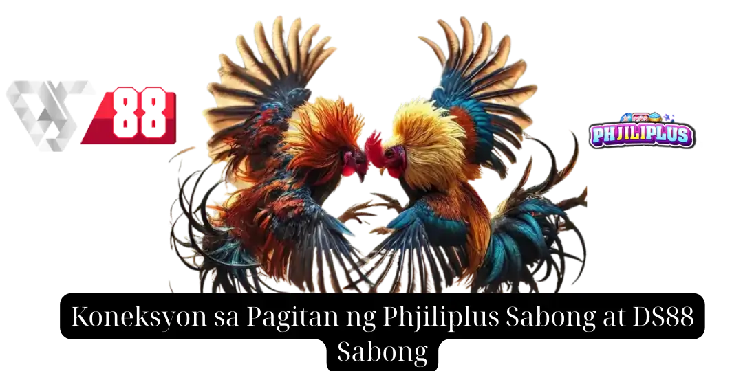 Koneksyon sa Pagitan ng Phjiliplus Sabong at DS88 Sabong phjiliplus